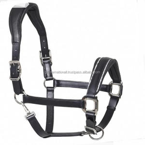 Casque anatomique au design personnalisé double cristaux rembourrés licou de cheval en cuir robuste en tailles d'épi complètes et matériel en laiton - Product Image 6