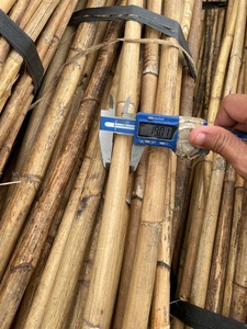 Bastón de ratán natural de alta calidad - Product Image 6