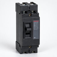 Disjoncteur à boîtier moulé DZ15 6A-100A 1P 2P 3P 220V 380V pour distribution et protection moteur
