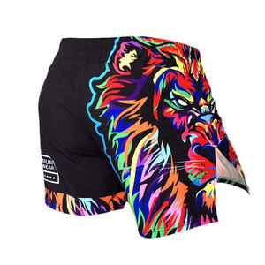Pantalones cortos MMA de poliéster 100, producto superventas a precio de venta al por mayor, pantalones cortos de lucha con diseño totalmente personalizado para hombre - Product Image 2