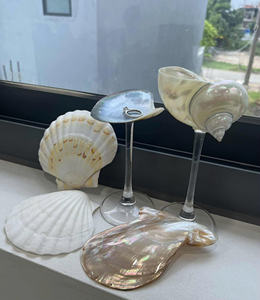 Concha de cristal para eventos Impresionante concha marina Busque fiestas y regalos Ideal para exportación y uso minorista - Product Image 5