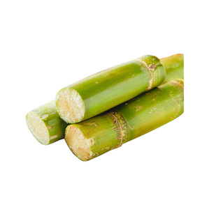 Caña de Azúcar Congelada Fresca, Dulce y de Alta Calidad - Product Image 3