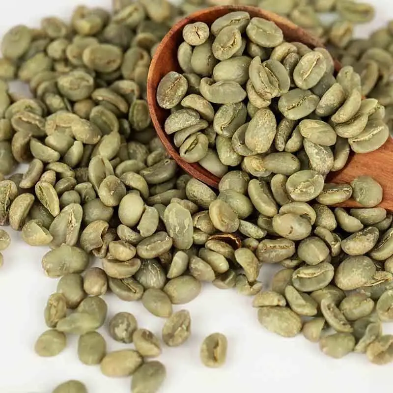 เมล็ดกาแฟจากภาคเหนือของประเทศไทยเชียงรายเกรดดีกาแฟไทยอาราบิก้าผลิตภัณฑ์เพื่อการเกษตรเพื่อการส่งออก