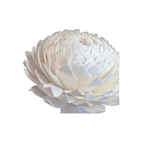 Bunga Kayu Sola Buatan Tangan 9 cm, Laris Manis, Warna Putih Kering, Ramah Lingkungan, Grosir, Terinspirasi Reed Diffuser, Dekorasi