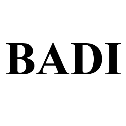 Badi Industry Co., Ltd. Guangdong logo