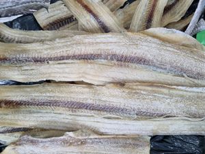 Pescado Lazo Salado Seco Tradicional, Proveedor de Pescado Lazo Seco, Exportador de Pescado Lazo Seco, Precios Competitivos ANGLE - Product Image 4