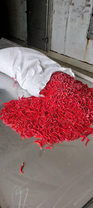 Mejor Precio Calidad Premium Chiles congelados de Vietnam exportación a granel - Product Image 5