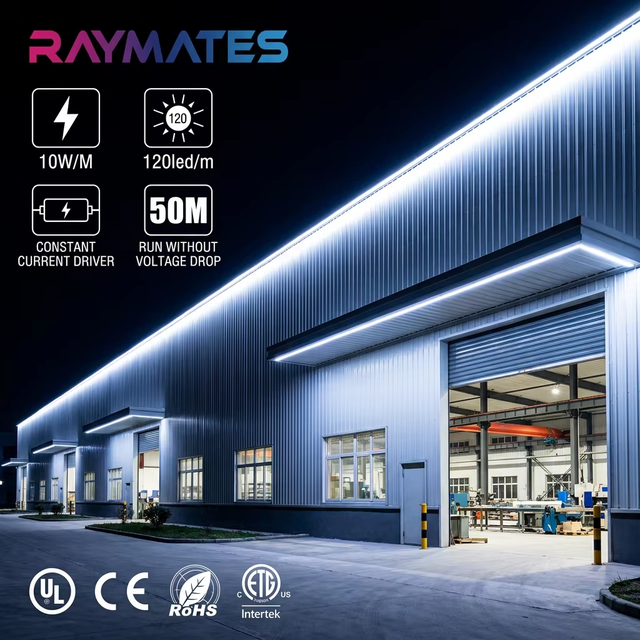 50M 10W/M High Voltage White AC110V/230V IIP68 Outdoor Waterproof SMD2835 Led Strip Light SMD Strip 120leds Full Range Flexible