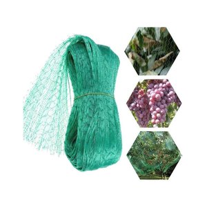 * OUTLET * rete Anti-uccello 4x6m verde giardino rete proteggere piante da frutto fiori alberi-casa e giardino/giardino e - Product Image 3