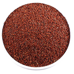 Berro | Hojas suaves y tiernas | Popular en comidas de bienestar - Product Image 4