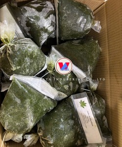 Pasta de Hoja de Yuca Congelada de Suministro de Fábrica, Vietnam |   Pedidos de Gran Volumen - Product Image 6