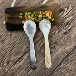 Vietnam Fornecedor Artesanato mãe de pérola colher shell caviar colher, Unique Caviar Spoon Presente significativo