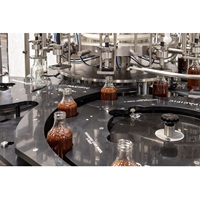 Machine de remplissage volumétrique de haute précision pour l'huile de cuisson, le sirop, le détergent et le savon liquide, disponible au prix d'usine en Inde