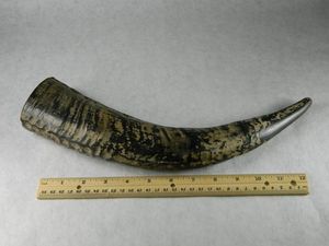 Bocina para beber vikingo moderna, segura para alimentos, color de cuerno natural genuino con calidad superior para tamaño personalizado para Navidad - Product Image 2