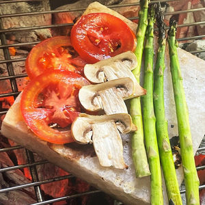 Vente en gros de dalles de sel de l'Himalaya 100% naturel, prix de vente le plus bas, briques et carreaux de sel de l'Himalaya pour la cuisson au gril - Product Image 1