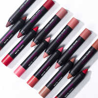 Langmanni 12PCs Matte Lipstick Set Kit Venta al por mayor Barato Cosméticos de larga duración que no dejan marcas a prueba de agua