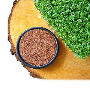 Cress | ผลิตภัณฑ์ใบอินทรีย์ | ผลผลิตเกษตรเพื่อสุขภาพ - Product Image 4