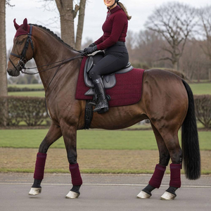 Vendas de neopreno para piernas de caballo, envolturas ecuestres personalizables, suministros de equitación de alta calidad disponibles en múltiples opciones de diseños - Product Image 3