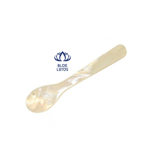 Cuillère à coquille de conque au meilleur prix du Vietnam pour l'exportation - Product Image 6