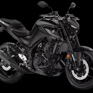 Vehículo de Dos Ruedas YAMAHA MT - Product Image 1
