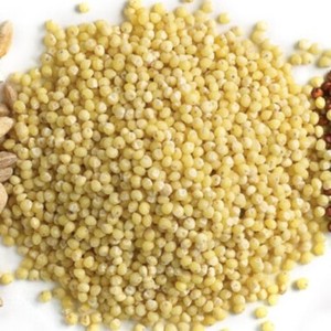 เมล็ดข้าวฟอกซ์เทลสีเหลืองออร์แกนิกคุณภาพสูง ไม่ขัดสี ปลอดสาร GMO ซูเปอร์ฟู้ดเพื่อสุขภาพ ขายส่งจำนวนมาก รับผลิตแบรนด์ส่วนตัว - Product Image 1
