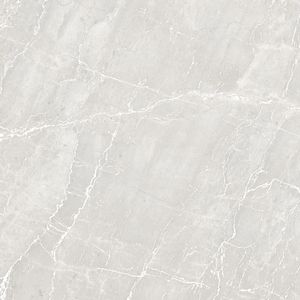 Découvrez des carreaux en porcelaine élégants de 600x600 mm provenant des principales entreprises manufacturières de carreaux d'Inde, des designs frais, des carreaux très demandés - Product Image 3