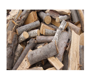 Bûches de chêne de qualité export à vendre à bas prix, idéales pour les besoins de la construction et du travail du bois - Product Image 1