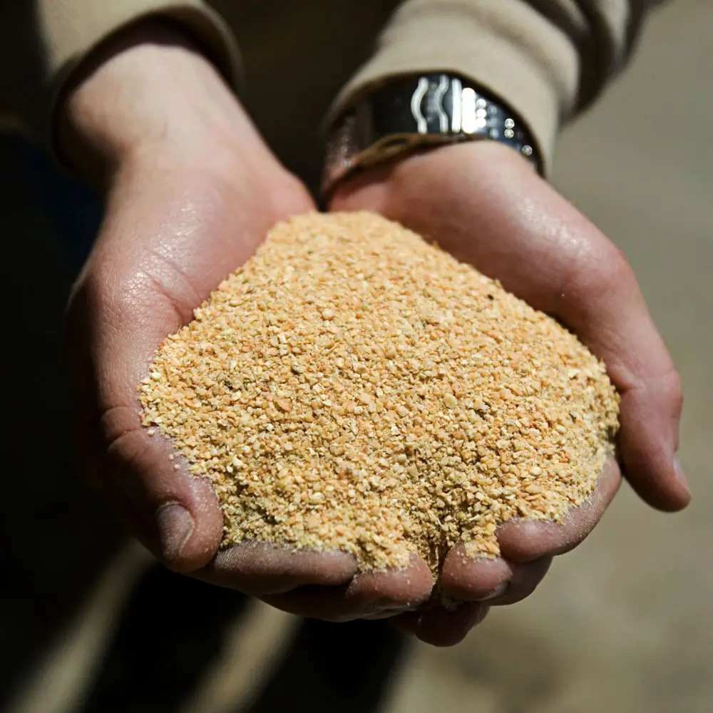 NutriVantage Soybean Meal: Enhancing Livestock Health and Productivity