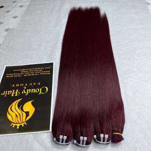 CDYHAIRVN Cabello Humano Liso Vietnamita Color Borgoña, Extensiones de Cabello Virgen Natural de Doble Trama, Precio al por Mayor - Product Image 3