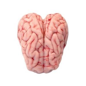 Cerveau de porc de qualité à vendre - Product Image 5