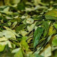 Té de Hojas de Senna 100% Puro, Hierba Seca, Superventas, Quema Grasa, Limpia el Colon, Reduce el Abdomen, Adelgazante Natural a Base de Hierbas