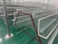 Nouveau système de cages automatiques en acier galvanisé pour poulets pondeuses, optimisant l'espace pour les fermes avicoles commerciales