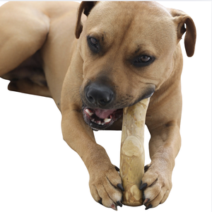 Jouet à mâcher pour chien en bois de café enrichi pour les chiens actifs et curieux - Product Image 4