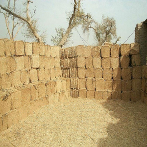 Paille de foin biologique pour bovins alimentaires balles de foin de paille de blé pour prix de gros alimentation animale agriculture alimentation pour chevaux - Product Image 2