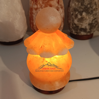 Lampe en sel rose de l'Himalaya sculptée à la main, design artistique en forme de cœur, base en bois, interrupteur à intensité variable, écologique, Feng Shui authentique