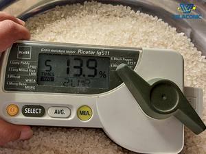 VILACONIC Estándar DE LA UE Secado Blanco Japonica Arroz de grano corto Origen vietnamita con textura dura Teléfono + 84398885178 - Product Image 2