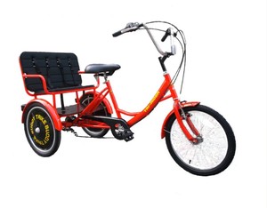Tricycle Adaptatif Confortable et Soutien-Structurel – Vélo à Pédales pour Adultes à 6 Vitesses - Product Image 1