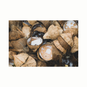 Cuenco de coco natural de Vietnam, mitades de cáscara de coco para comedero de mascotas y fabricante de velas, tendencia caliente 2024 - Product Image 3