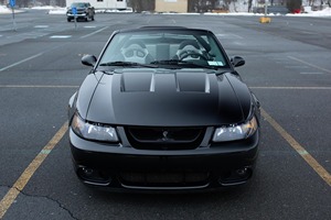2003 F-o-r-d M-u-s-t-a-n-g S-V-T C-o-b-r-a Cabriolet - Product Image 2