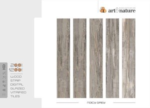 Azulejos elegantes de porcelana con textura de madera | Diseño de tablones de suelo de pared de 200x1200mm Acabado moderno de exportación Premium - Product Image 2