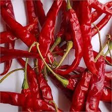 Origine indienne 100% Pure vente en gros de qualité supérieure piment rouge sec Teja S17 tige - Product Image 3