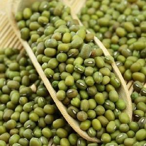 High Quality Organic <b>Green</b> Mung Beans Dried Style Packaged in Bulk - Product Image 1