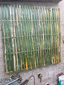 Venta al por mayor de caña de bambú Premium, bambú natural ecológico, alta calidad, proveedor de fábrica de Vietnam, exportación directa - Product Image 6