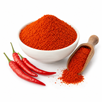 Poudre de paprika personnalisable OEM, poudre de piment doux rouge, faible MOQ, fourniture directe usine, 100g, style séché, bon prix