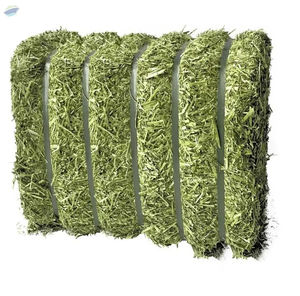 Heno de Alfalfa con 24 Meses de Vida Útil Bajo las Condiciones de Almacenamiento Adecuadas para la Gestión de Inventario a Largo Plazo, Compra al por Mayor - Product Image 1
