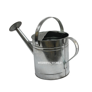 Lata de agua galvanizada de lujo, excelente calidad, regadera de diseñador hecha a mano, tamaño personalizado, nueva lata de agua de hierro elegante - Product Image 1