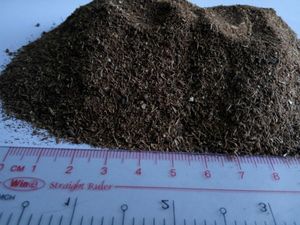 POUDRE DÉSHYDRATÉE À LA MÉLASSE PURE/MÉLASSES SÉCHÉES PAR PULVÉRISATION BIOLOGIQUE - Product Image 6