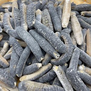 Bán Chạy Nhất Dưa Chuột Biển Cho Giá Tốt Nhất/Chất Lượng Mặt Trời Khô Dưa Chuột Biển Trong Bilk Đơn Đặt Hàng/Tươi Đông Lạnh Dưa Chuột Biển Để Bán - Product Image 6