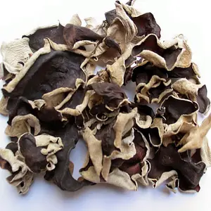 优质天然有机白黑木耳菌蘑菇价格有竞争力批发