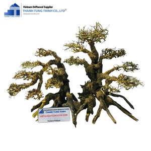 Hot Item <b>Aquarium</b> Bonsai Driftwood Decorations Exporter From Vietnam For Wholesalers - Product Image 1